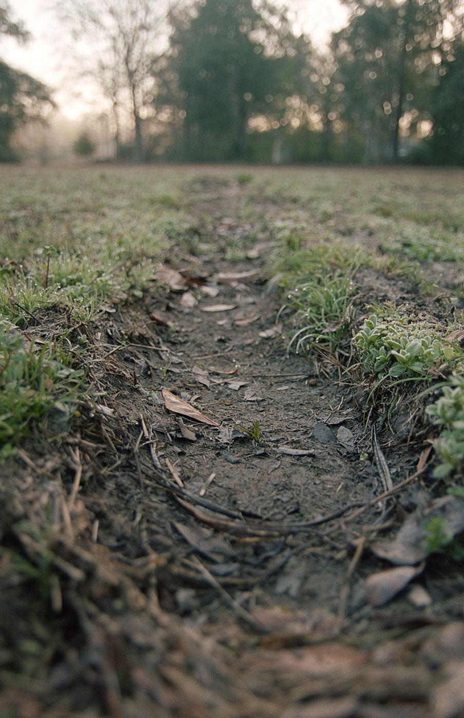 Dirt track in field